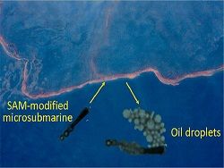 Микросубмарины будут очищать море от нефти
